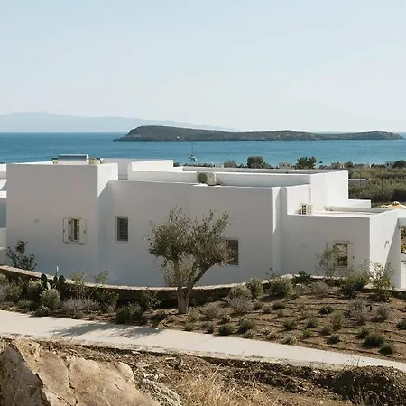 Golden View Paros, Citron * クリシ・アクティ