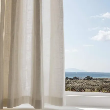 Golden View Paros, Citron