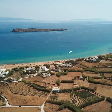 Golden View Paros, Citron